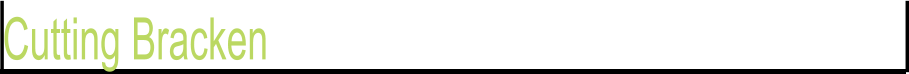Cutting Bracken